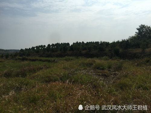 第三章：空旷之地——明堂宽阔与事业稳定的辩证关系