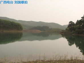 乙卯日生者与水木格局：人与景融合实例
