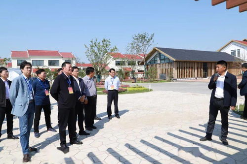 五、 诗词文化背景对吉祥氛围营造的辅助作用