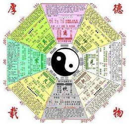 女命二官指的是什么能否详细解释一下这个命理术语的含义？