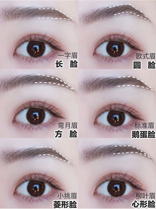 ：学习型校园建设的时代紧迫性