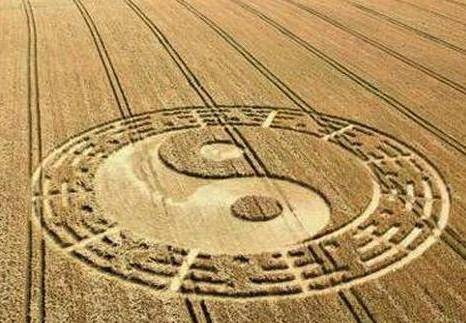 人际关系：复杂多变且易生纠纷