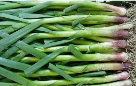 蒜苔：不只是个蔬菜那么简单