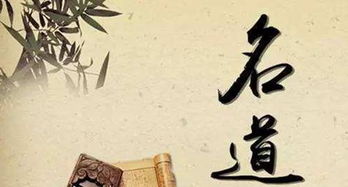 专业权威类