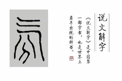 舒、 熎与豪放气质