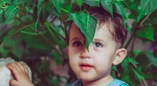 稀少好听才是王道——拒绝撞名尴尬症