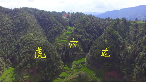 一、 风水四灵兽理论之概述