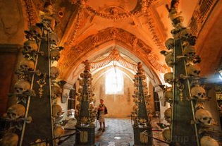 笑不活了！参观时遇到骨头开口说话？！