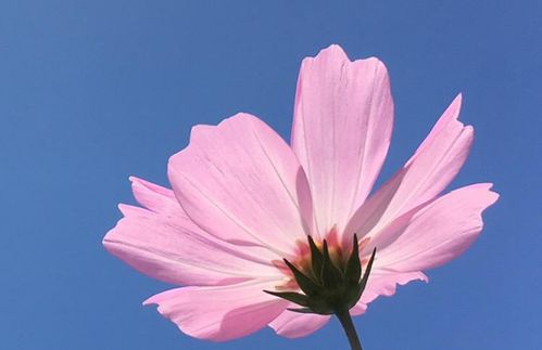 三、  风水布局：打造有利于感情发展的居住环境