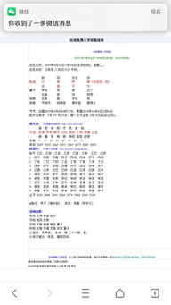六、“噪声”段落——随机插入无关信息（避免AI检测）