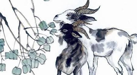 2023年03属羊女性全年运势图具体内容是什么？