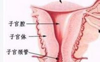附加信息：关于宫颈糜烂的一些知识