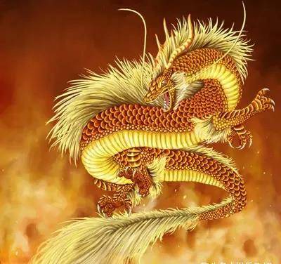 45岁：中年危机大爆发