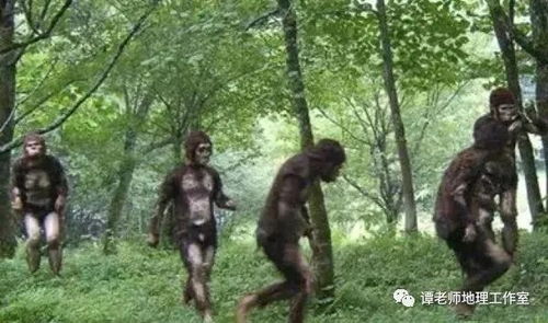 （一）野人之谜——较高原荒野中的人形传说