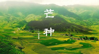 芒种时节与农事活动的对应关系：古老智慧的现代价值