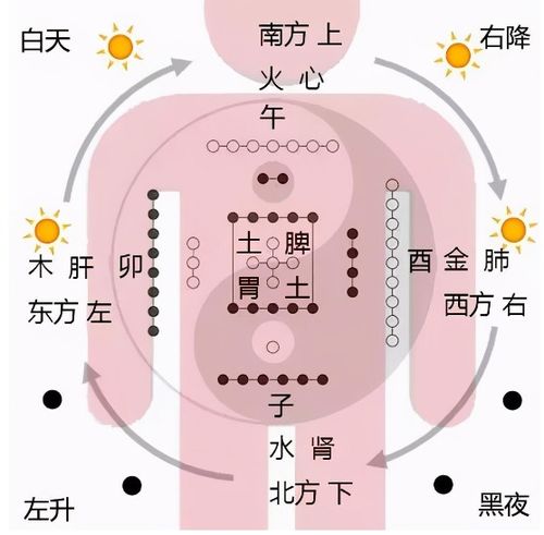 一、  “二十五人”理论的渊源与基础