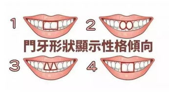 牙齿形态作为性格指示器之理论框架