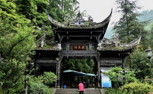 住泰安古镇 vs 山下...