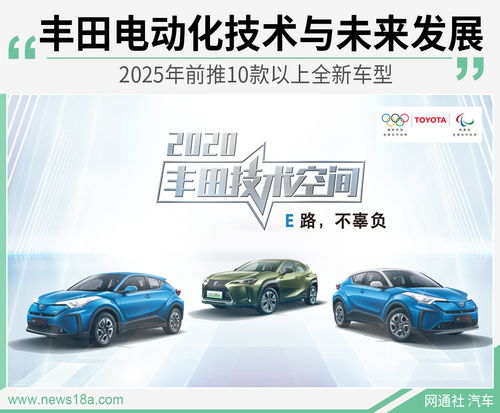 2. 五行八字匹配模型的构建