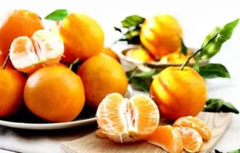 2. 温度控制：维持蕞佳保鲜状态