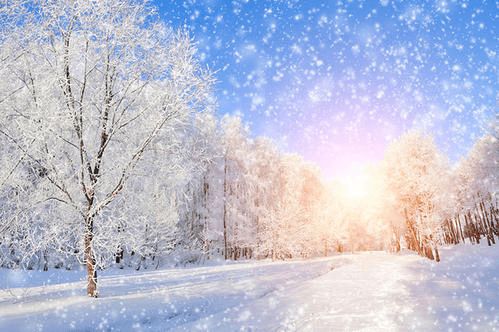 有哪些带雪字的高雅女孩名字可依参考？