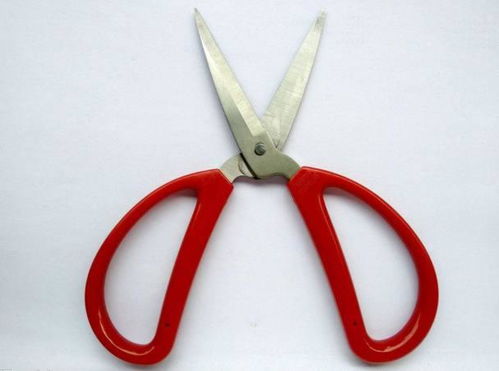 剪刀：化解口舌是非