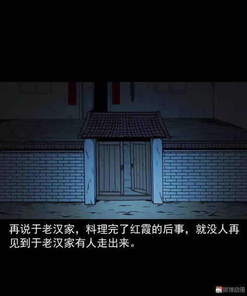 研究背景与对象概述