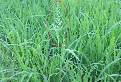 1．生态价值评估