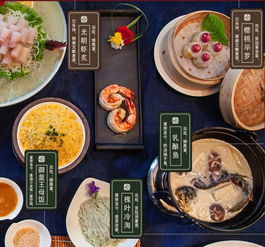 大唐王朝：不只是课本上的历史