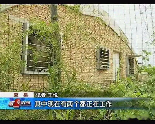 惯与住宅相邻门户高度差及其风水磁场影响的深度学术分析报告