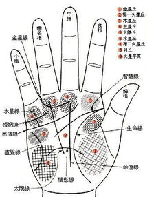 5、 偏财型（小指根部水星丘与无名指根部太阳丘之间十字纹）
