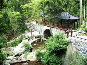 莫干山：竹林深处的清凉避世