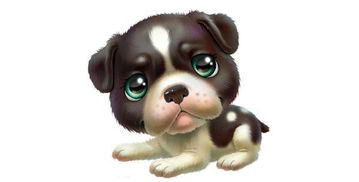 1970年属狗的人2026年和2028年运势及运程具体如何？