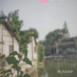 庾村市集：文化与味蕾的双重盛宴