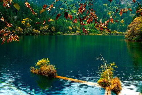 1. 爱河之心：浪漫？呵呵