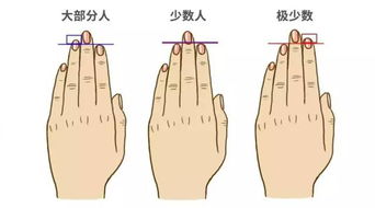 如何判断一个人是否拥有富贵命？从哪些方面可以看出富贵命的迹象？