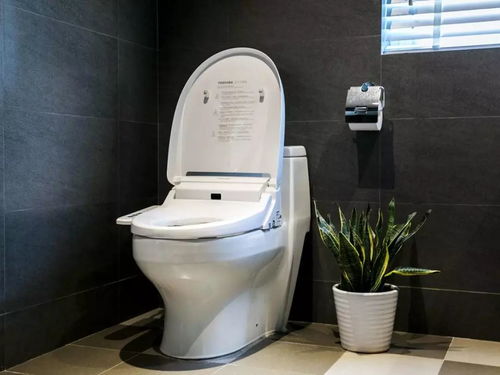 2026年安装座便器或马桶的最佳吉日是哪一天？