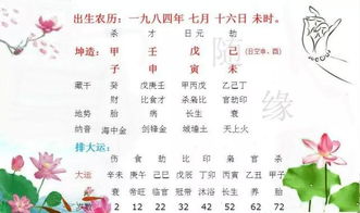 ：日干木命身弱者的流年财运研究概述