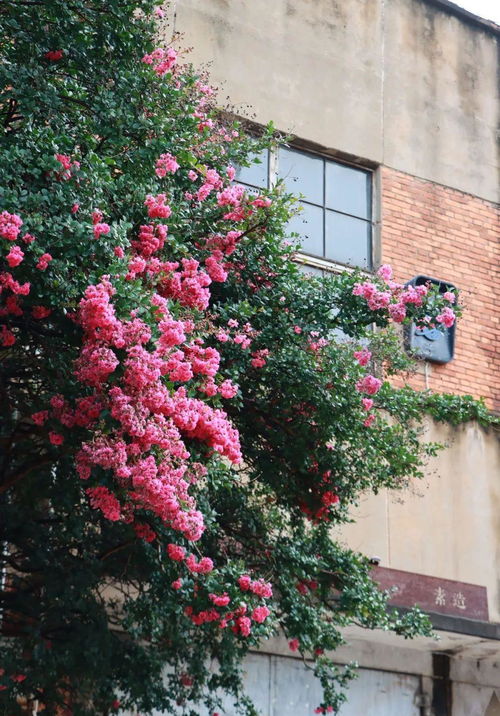 二、 行业分层视角下优选日期的实务指引