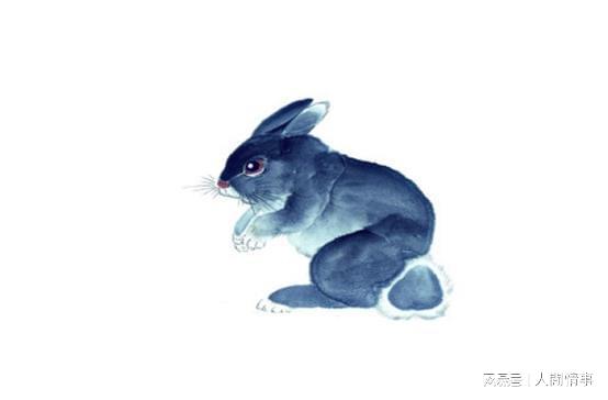 1. 生肖兔