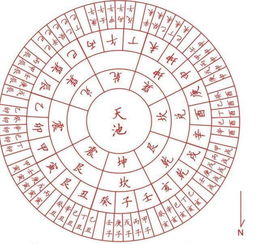 为什么在卦象和八字中，女性命理通常不包含数字8？