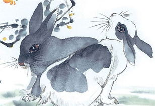 属兔六月结婚吉日和属兔女孩今年结婚吉日分别是哪一天？