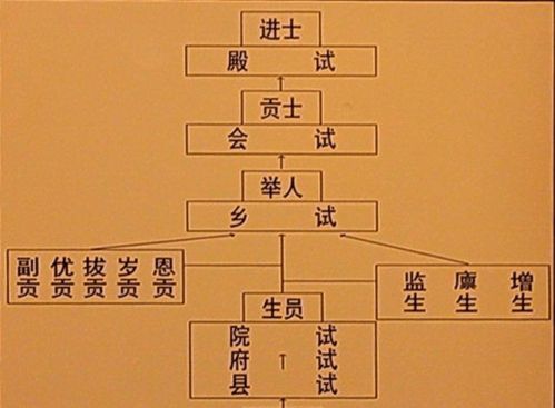 二、 辛卯日柱女命配偶特征概述