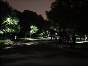 五、探索真相与理性思考：从主观体验到客观分析