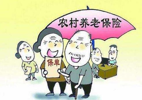 个人实践反思：一段旅程的回顾与审视