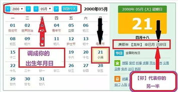 三、 八字与身高相关性的实证研究概述