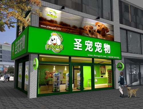 二、 星座与生肖对商铺命名及经营策略的影响分析