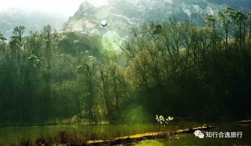 老山景区：江北的森林秘境