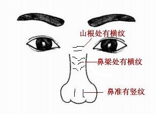 山根的地理位置及其功能