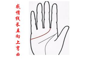 感情线的基本定义与象征意义